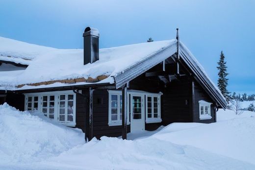 Norveç Merkez 3+1 Daire